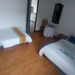 Palm Tree Hostel