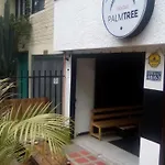 Palm Tree Hostel
