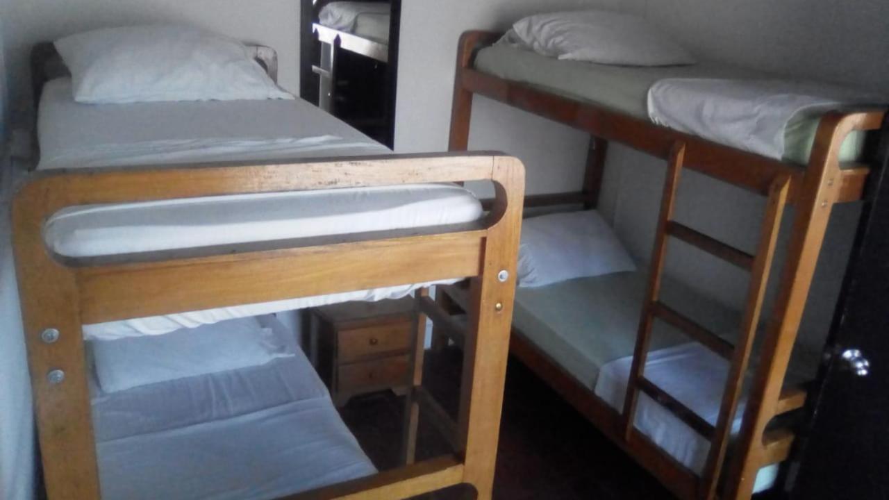 Hostal Palm Tree Hostel Medellín