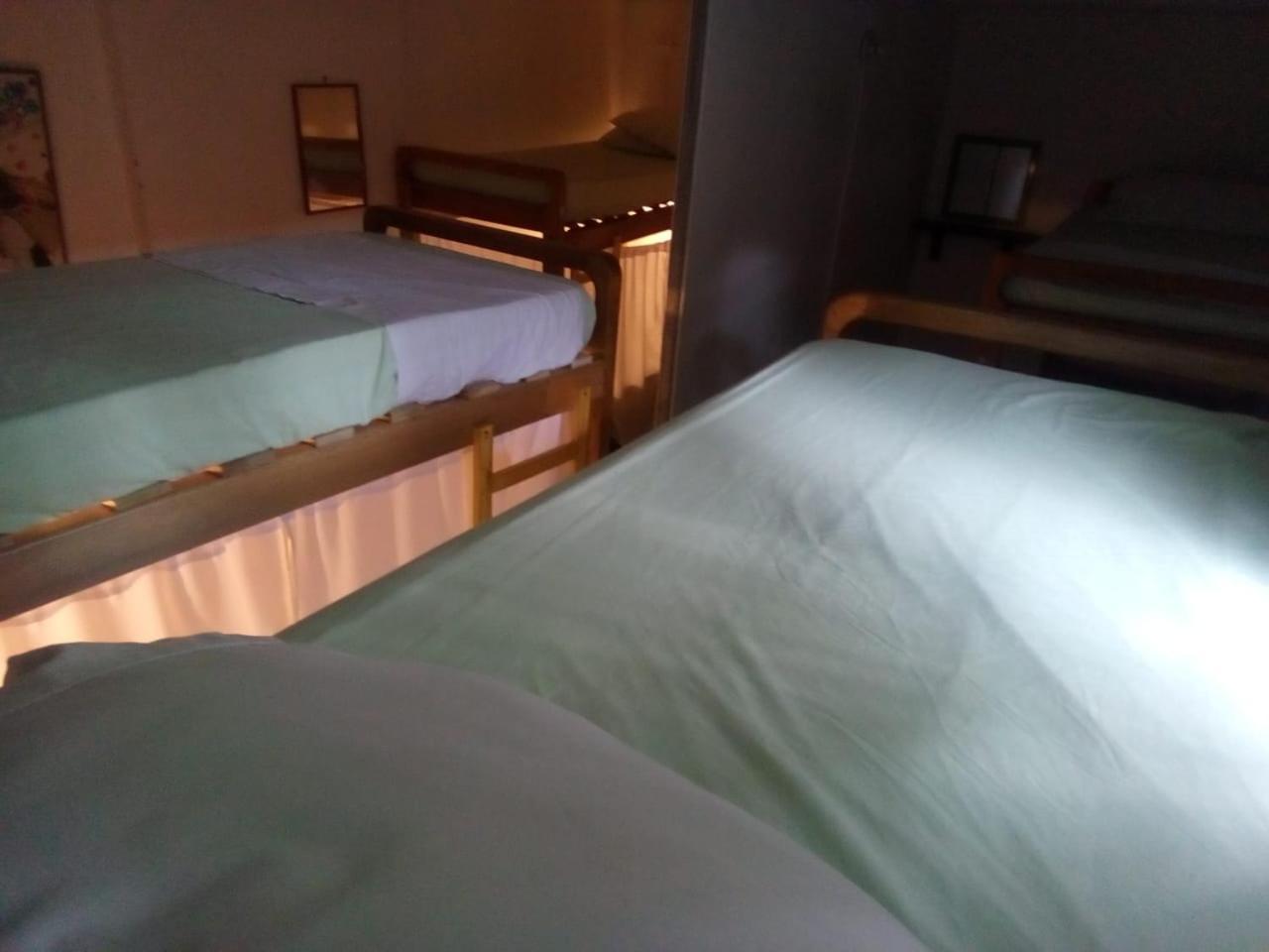 Hostal Palm Tree Hostel