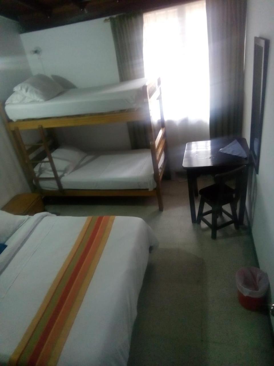 Palm Tree Hostel Hostal Medellín