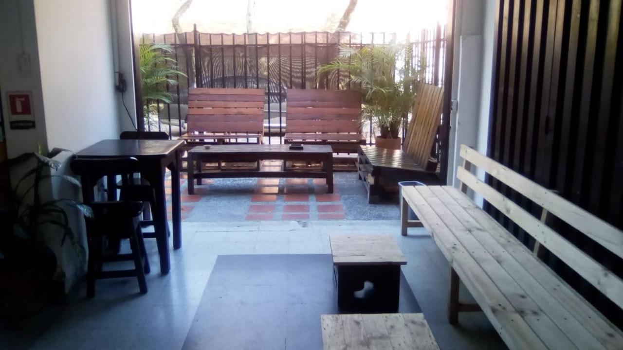 Palm Tree Hostel *