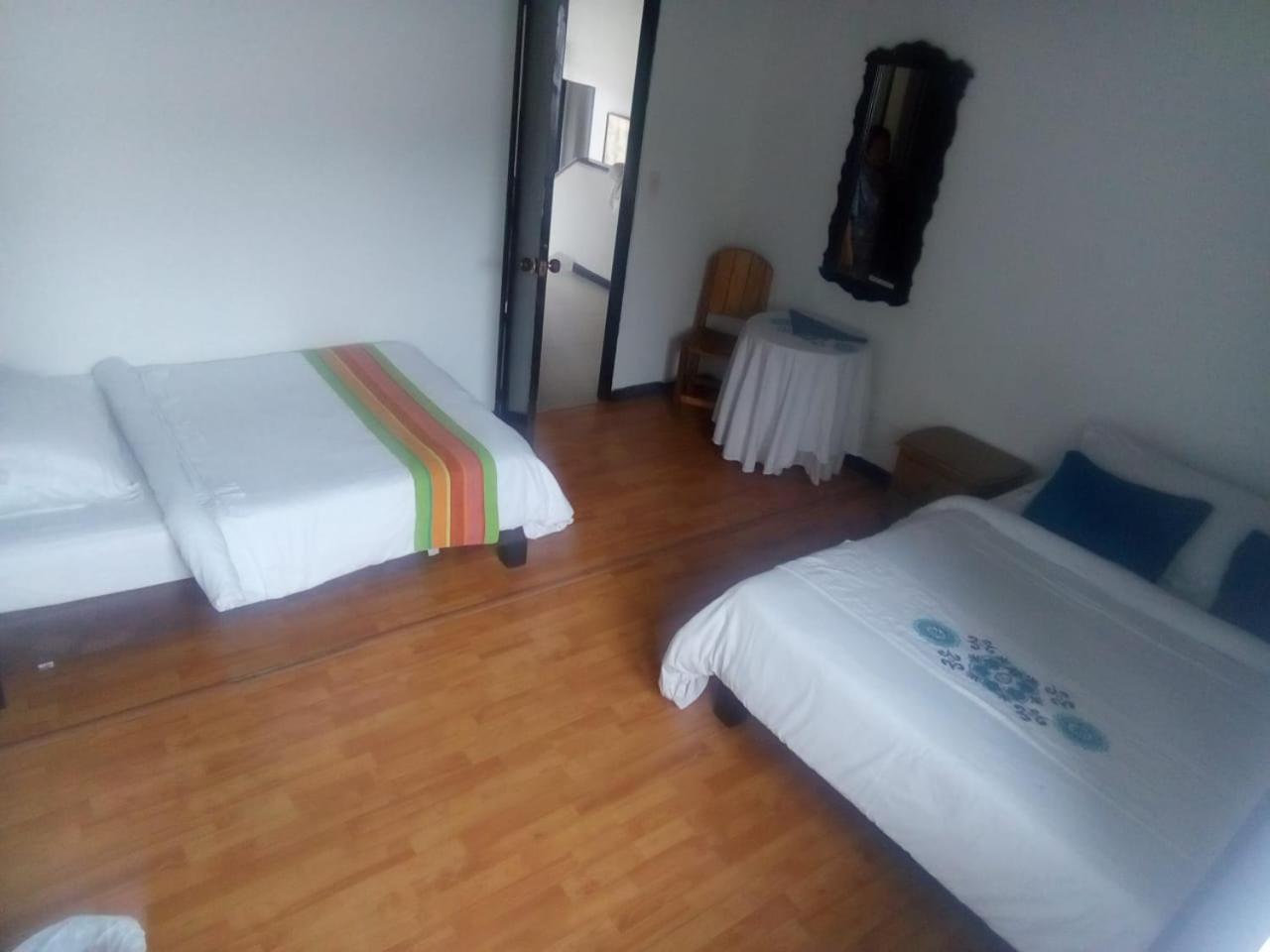Palm Tree Hostel Hostal Medellín