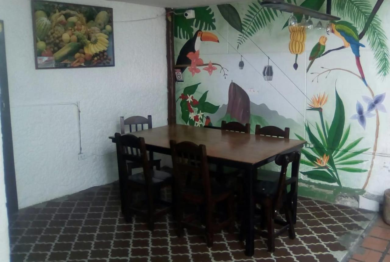 Palm Tree Hostel Medellín