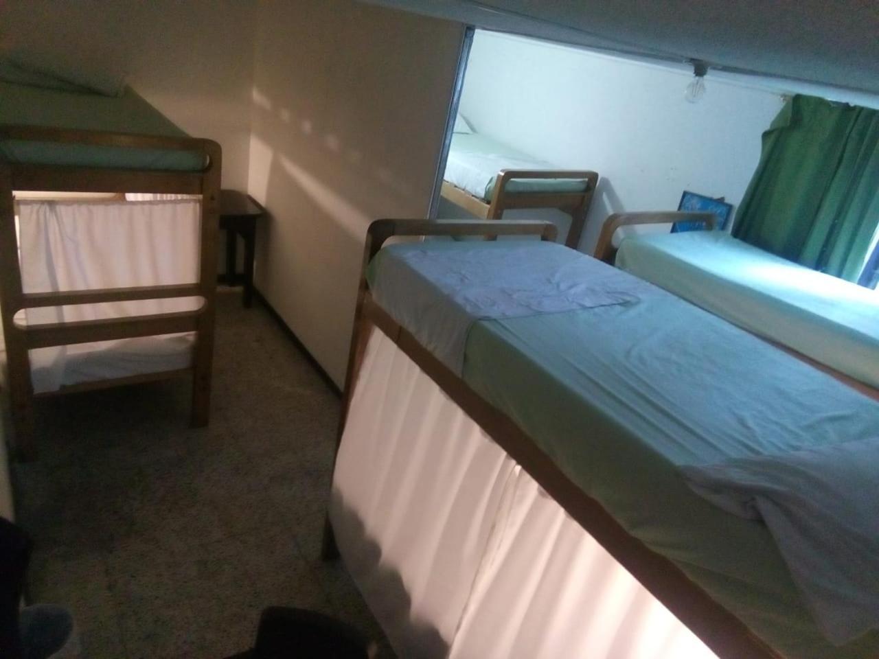 Hostal Palm Tree Hostel