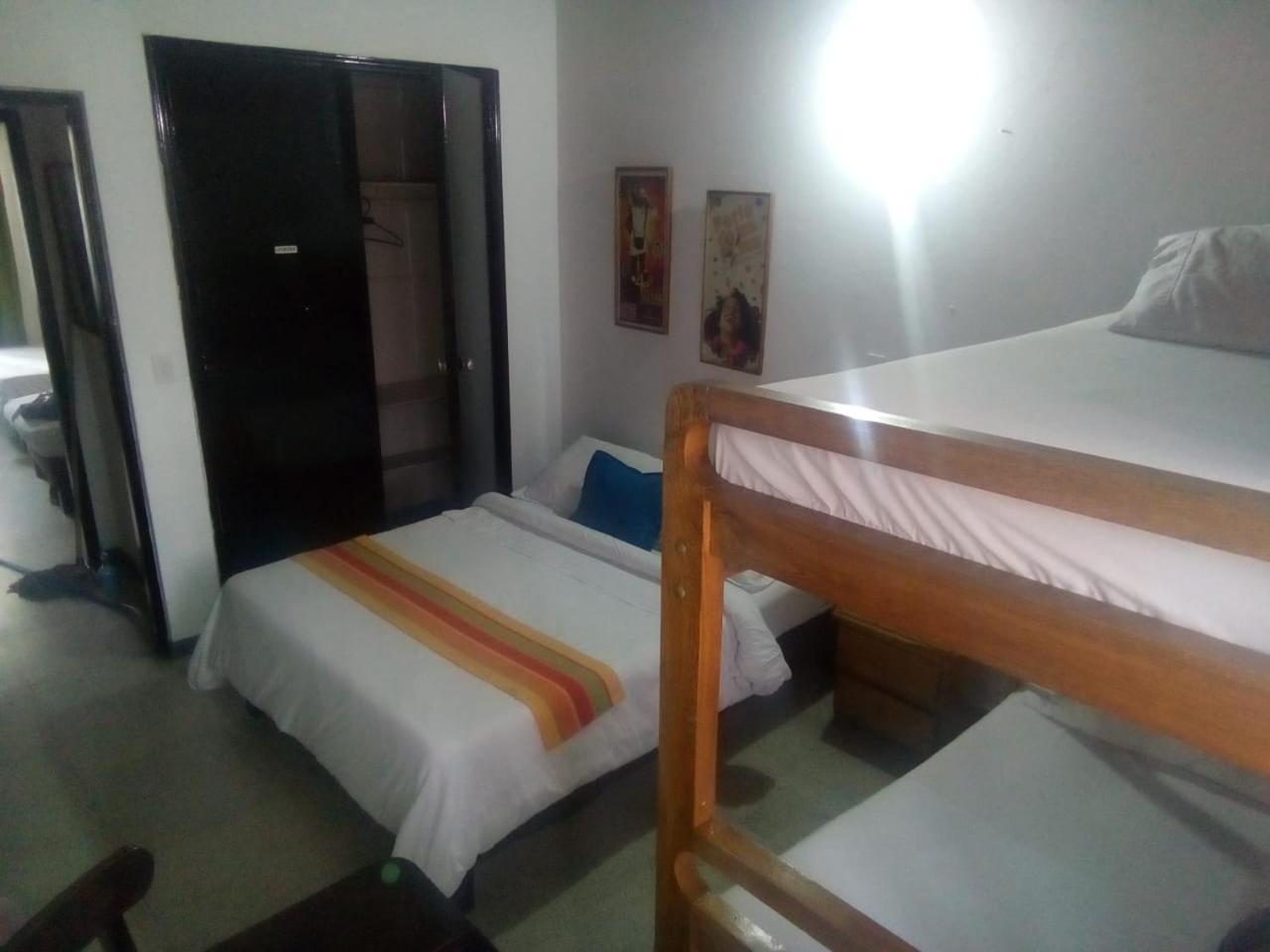 Palm Tree Hostel Hostal *