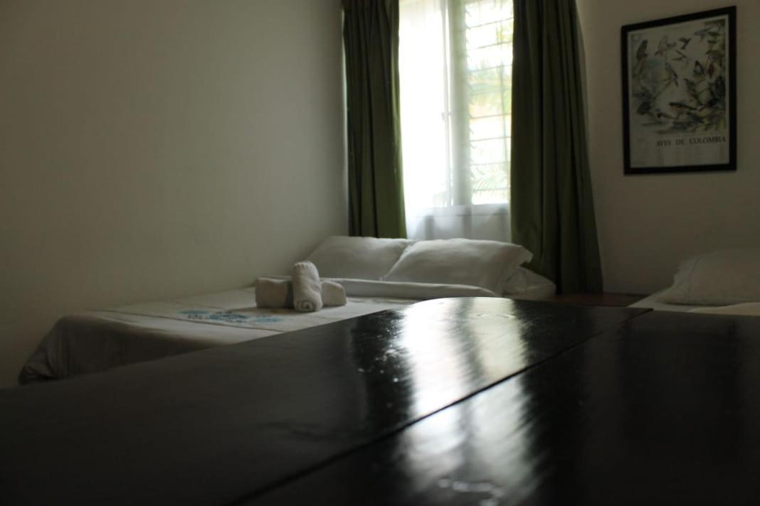 Palm Tree Hostel