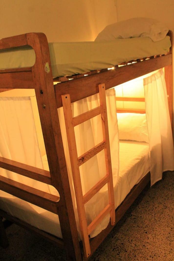 Hostal Palm Tree Hostel Medellín