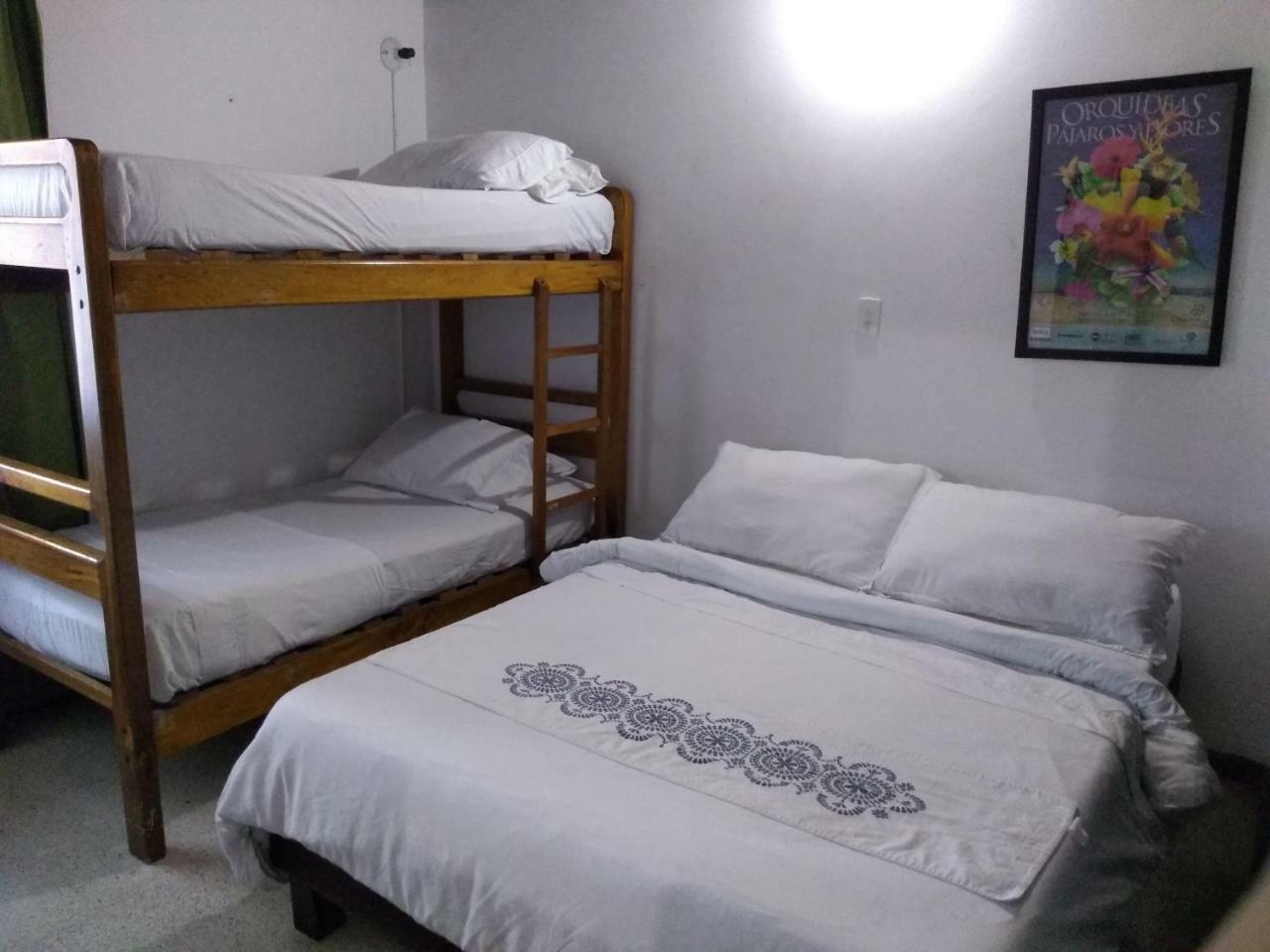 Palm Tree Hostel Hostal *